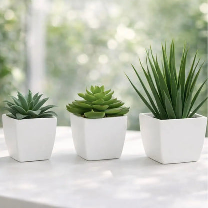 Mini Evergreen Trio Decorative Plants