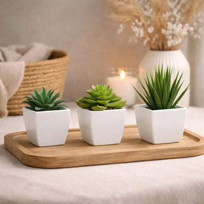 Mini Evergreen Trio Decorative Plants