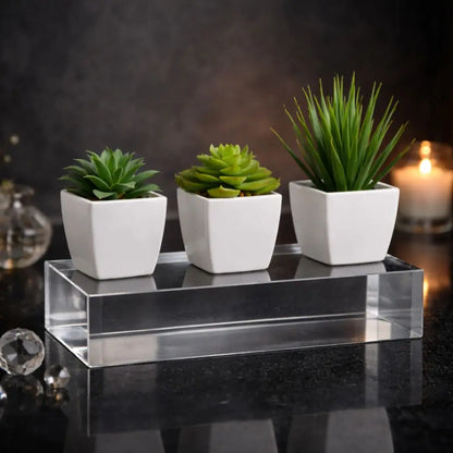 Mini Evergreen Trio Decorative Plants